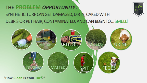 Pet Hair & Debris Cleanup - Before and after