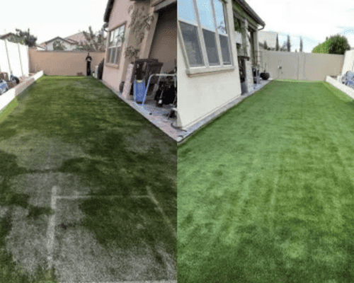 Murphy's Turf cleaning project — turf restoration