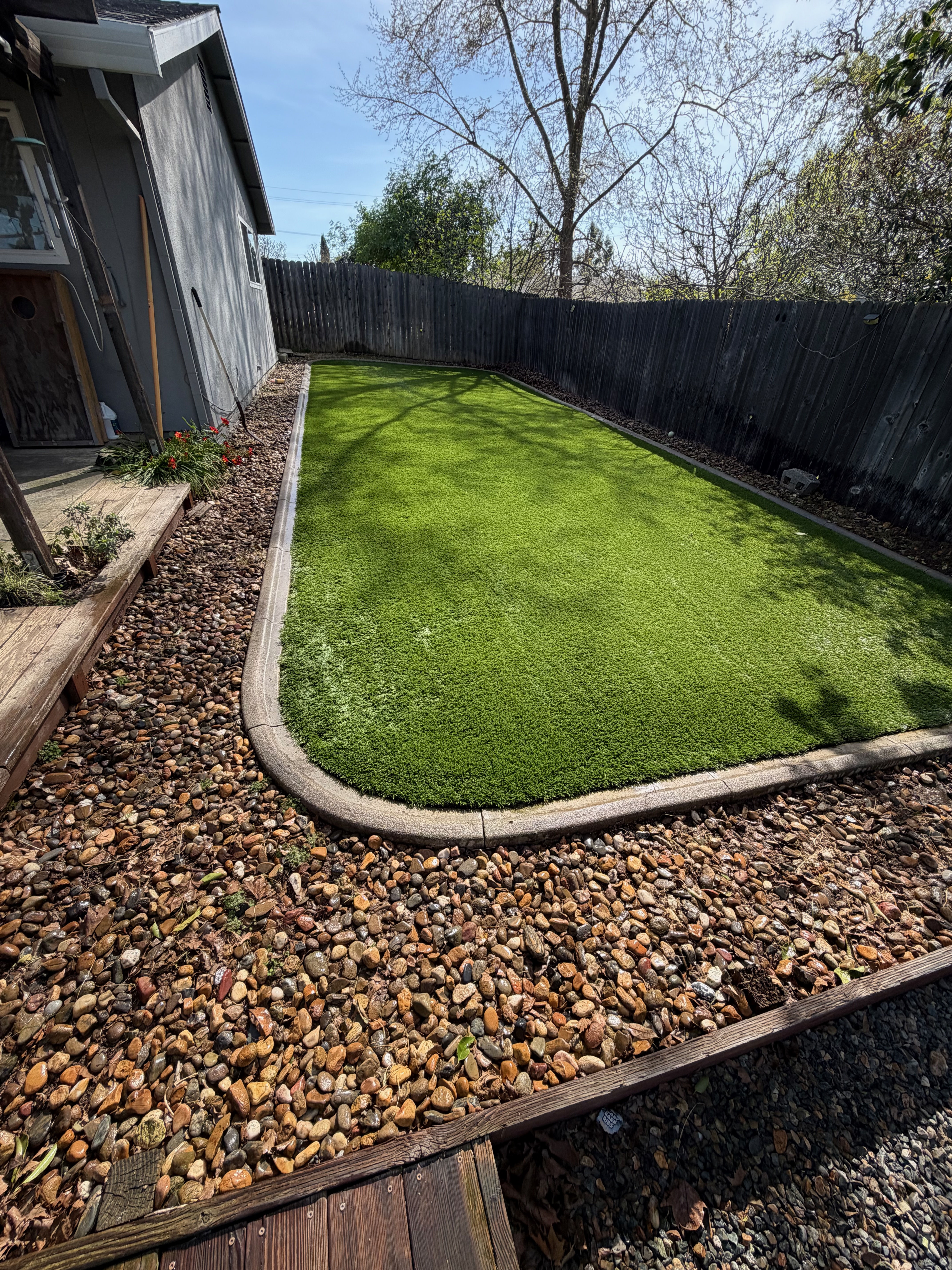Murphy's Turf — side yard turf with rock border
