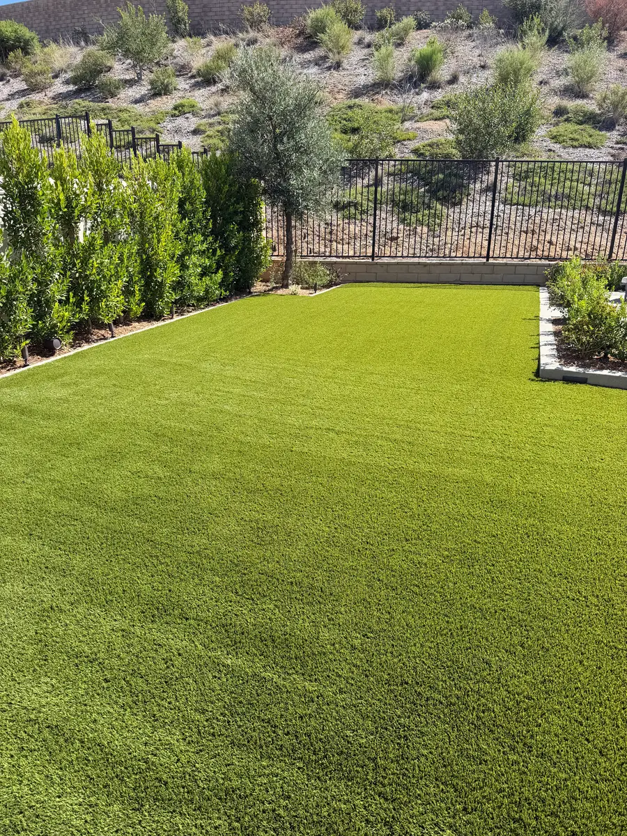 Artificial turf lawn bordered by hedges, an olive tree, and hillside fencing